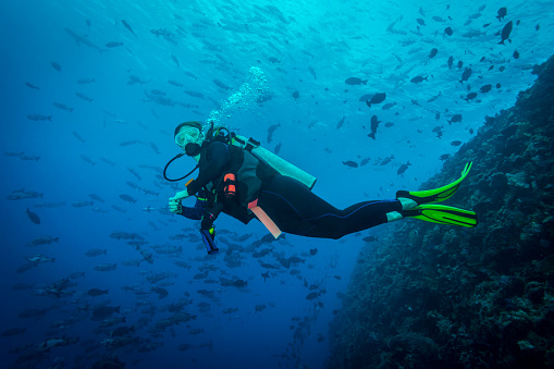 Female diver at the safety stop. The Republic of Palau and their islands are a unique destination for dive lovers with pristine reefs and abundant marine underwater life.