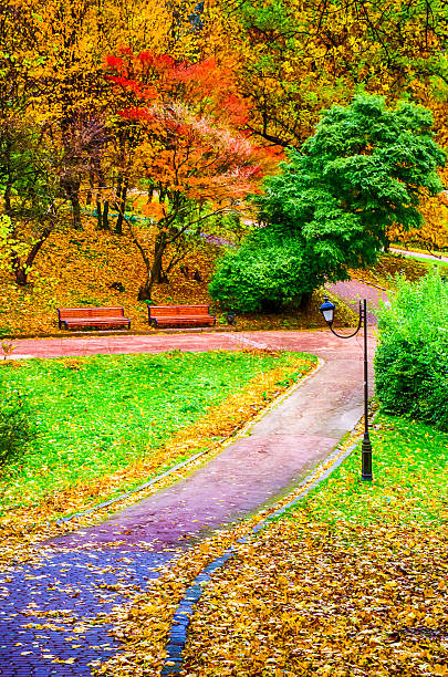 istock The park in the autumn 618936436