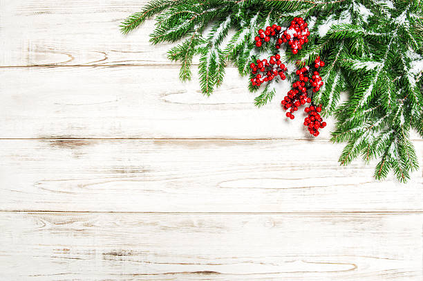 istock Christmas background. Evergreen tree branches red berries decoration 618936846