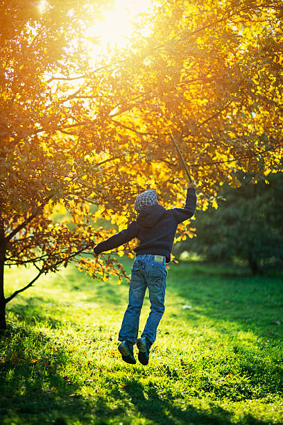 маленький мальчик получать осенние листья вниз по дереву - stick shaking little boys child стоковые фото и изображения