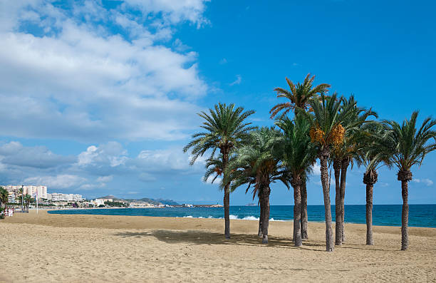 istock Sea, beach and coconut palms 618942136