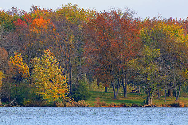 istock Autumn in Illinois 2016 #10 618945252