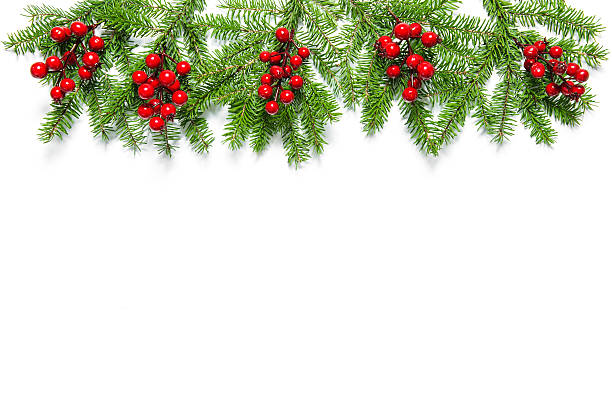 istock Christmas tree branches red berries Holidays decoration 618945258