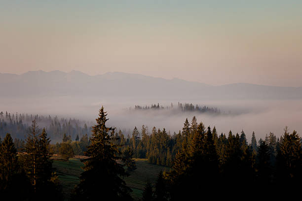 istock Beautiful sunrise fog in mountains 618945722