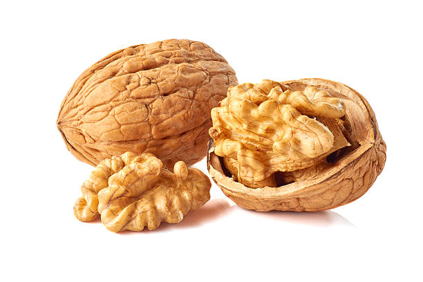 núcleo y nuez entera sobre blanco - walnut pod nutshell cross section fotografías e imágenes de stock