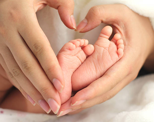 baby feet and mother hands stock photo