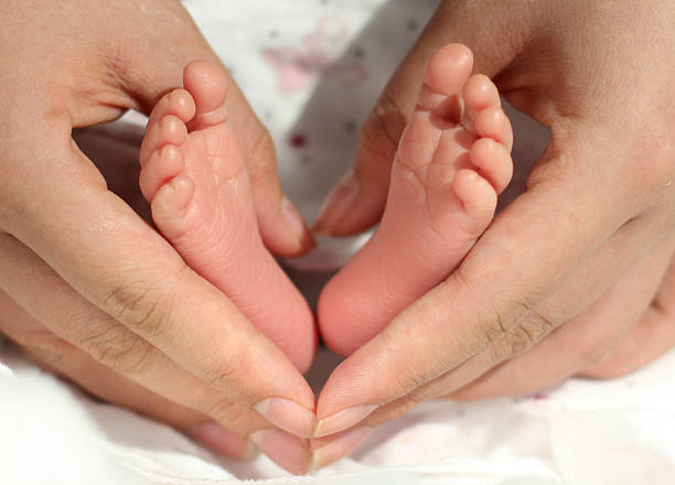 baby feet and mother hands stock photo