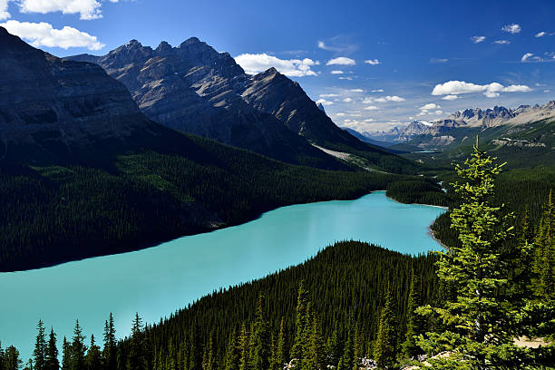 istock Peyto Lake Banff National Park 618950982