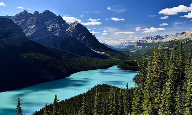 Peyto Lake Banff National Park stock photo