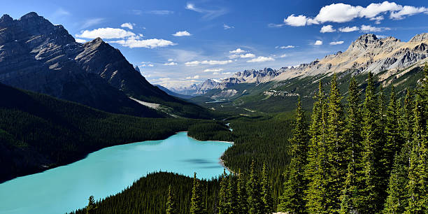 istock Peyto Lake Panorama 618951760