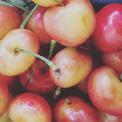 Pink and yellow, sweet washington cherries from a fruit stand in Ojai.