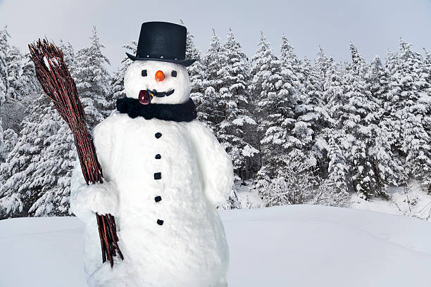 森の中のストーブパイプの帽子、パイプ、ほうきの雪だるま - stovepipe hat ストックフォトと画像