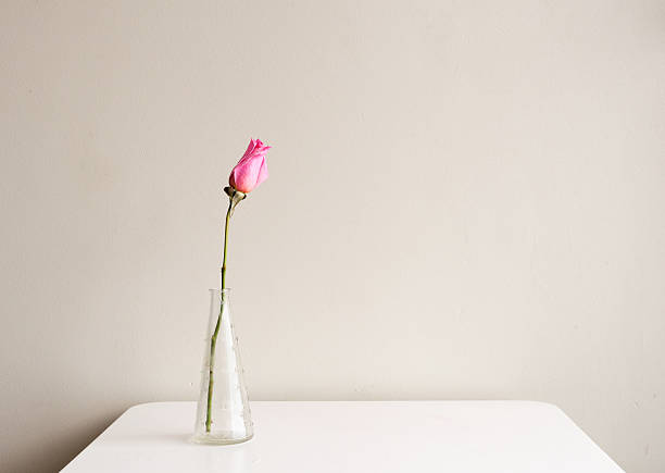 istock Pink rose in small glass vase 618954166