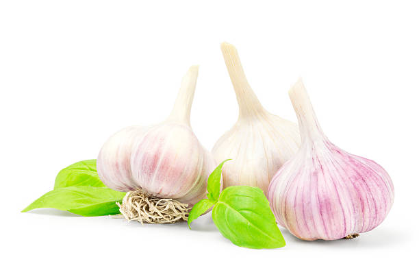 istock Garlic bulb isolated on white background cutout 618955774
