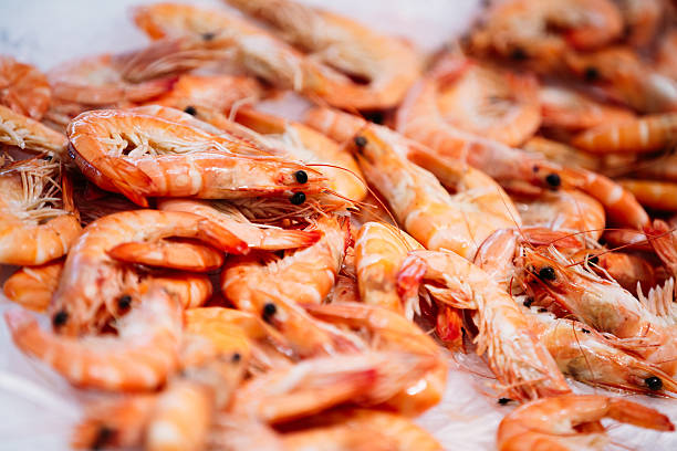 close up fresh shrimps display on ice fishermen market store - close to cold colors color image fotografías e imágenes de stock