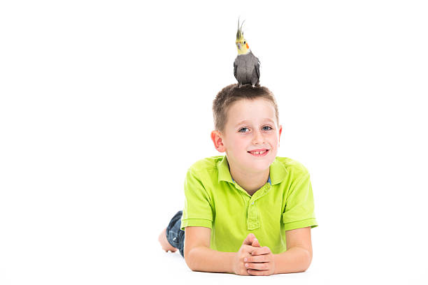 smiling boy with cockatiel on white