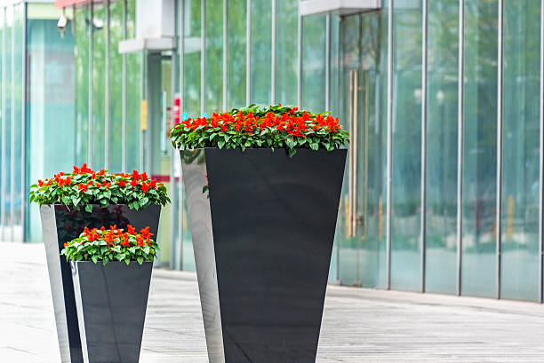 istock view of city square with plants 618958904