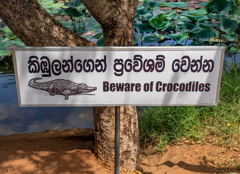 Anaradhapura, Sri Lanka - July 22, 2016: Sri Lanka, Crocodiles warning sign at lake Newark Wewi. These signs are very common in Sri Lanka.