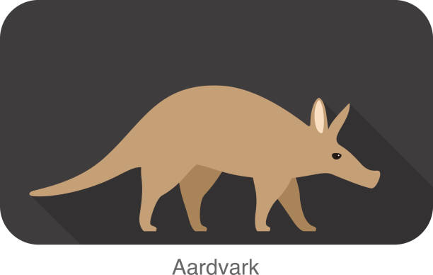 illustrazioni stock, clip art, cartoni animati e icone di tendenza di aardvark a piedi, vettore vista laterale - oritteropo