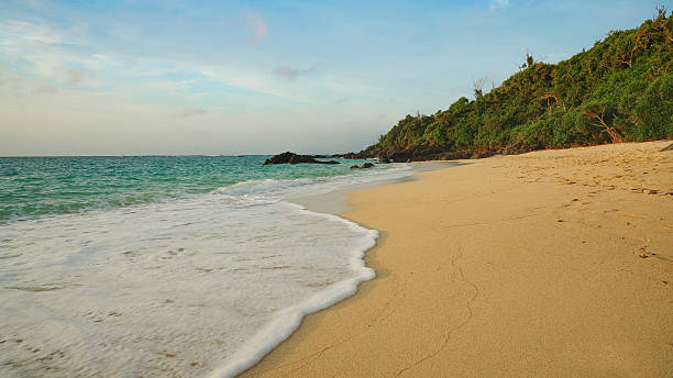 istock Sand Beach and the sea 618963332