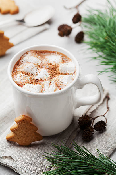 istock Hot cocoa or chocolate with marshmallow and cookies. Winter drink. 618964462