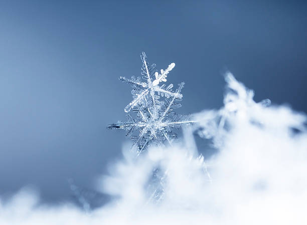 istock natural snowflakes on snow 618965136