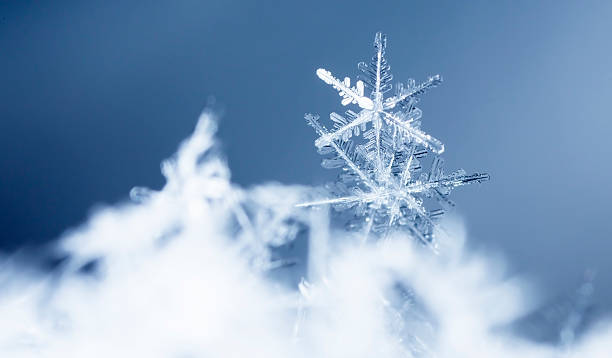 natural snowflakes on snow