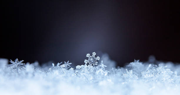 natural snowflakes on snow