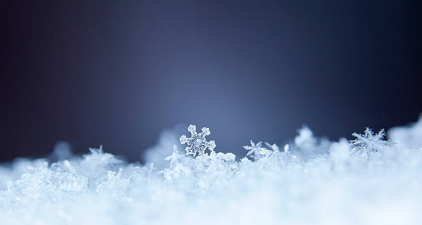 istock natural snowflakes on snow 618965424