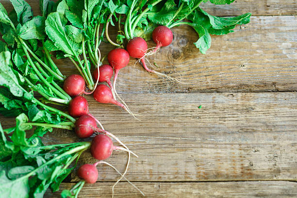 istock large bunch of fresh radish on rustic wooden boards 618965890
