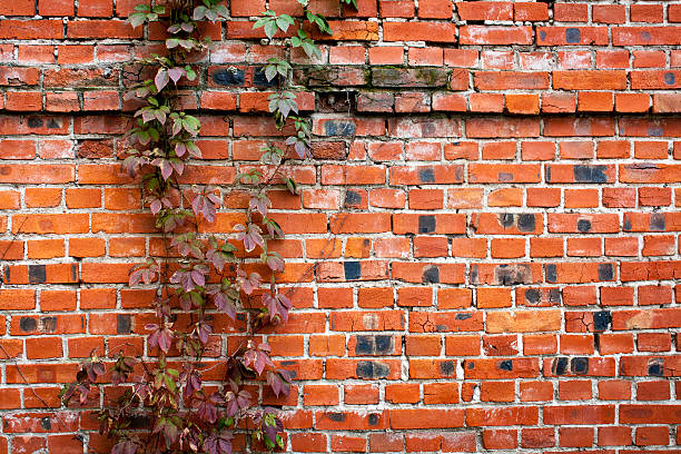 istock Autumn ivy (Hedera helix) leaves over brick wall background 618966742