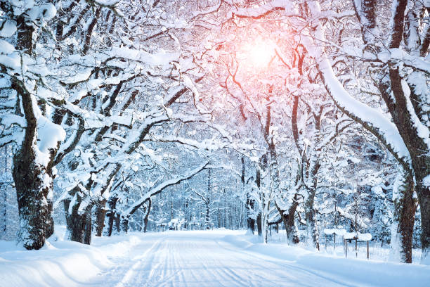 istock Alley in snowy morning 618968164