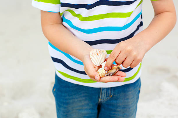 istock Little kid boy having fun with collecting shells 618969374