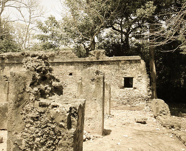 istock Ruins of Gede (Gedi). Ancient city 618971902