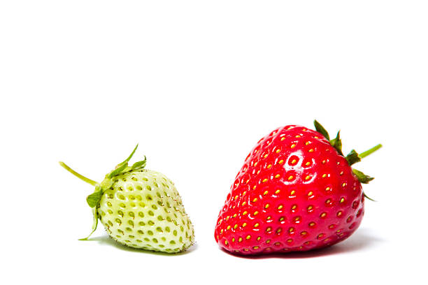 Red and green strawberries lying on a white background