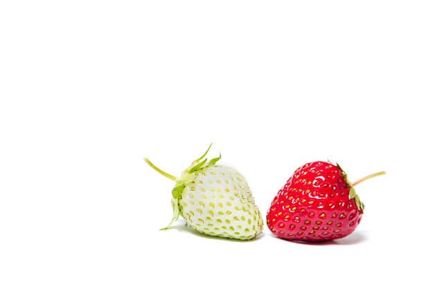 istock Red and green strawberries lying on a white background 618973706