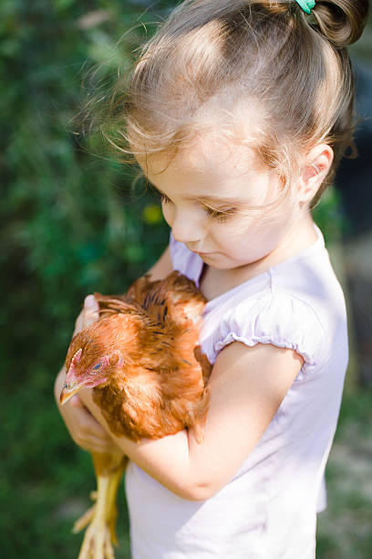 istock people series: little girl with red hen 618973896