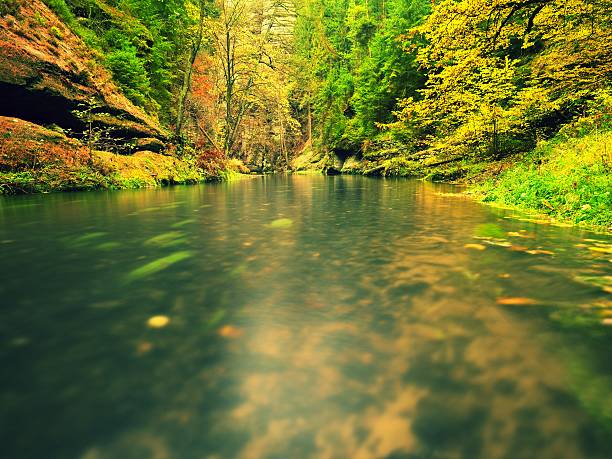 istock Fall mountain river. Green algae in  water, colorful autumn  leaves. 618974242