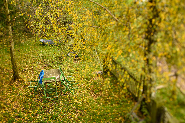 Empty table and chairs in wild garden