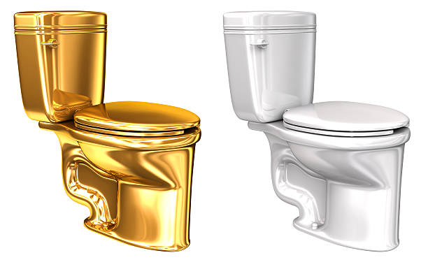 istock Gold and white WC toilet 618978932