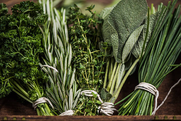 vista ravvicinata sulle erbe fresche - rosemary herb vegetable garden herbal medicine foto e immagini stock