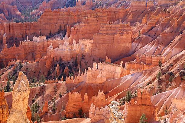 istock Bryce Canyon National Park, Utah, United States 618979042