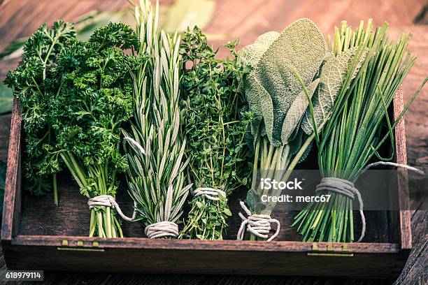 Close View On Fresh Herbs Stock Photo - Download Image Now - Herb, Herbal Medicine, Aromatherapy