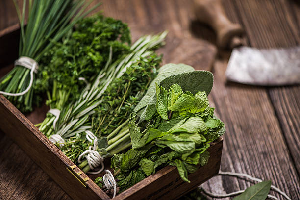 herbes aromatiques fraîches sur la table de cuisine - rosemary herb vegetable garden herbal medicine photos et images de collection