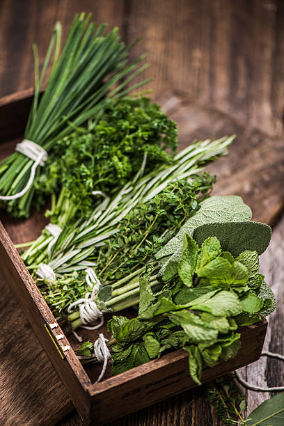 erbe aromatiche fresche sul tavolo della cucina - rosemary herb vegetable garden herbal medicine foto e immagini stock