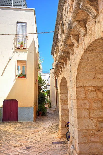 istock Alleyway. Turi. Puglia. Italy. 618980632
