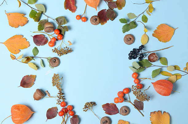 istock Bright yellow autumn leaves, chestnuts, pine cones and orange physalis 618980990