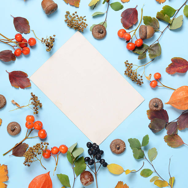 istock Bright yellow autumn leaves, chestnuts, pine cones and orange physalis 618981096