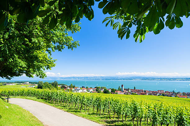 View on Bodensee with alp mountain range in background View on Bodensee with alp mountain range in background bodensee stock pictures, royalty-free photos & images