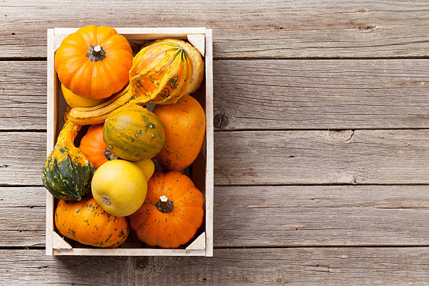 istock Autumn pumpkins on wooden board table 618983024